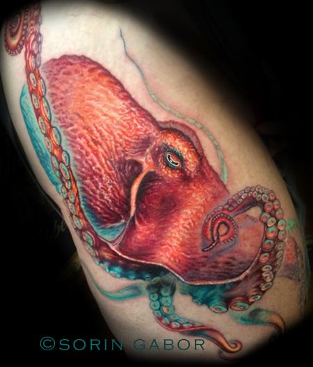 Sorin Gabor - Realistic color custom octopus tattoo